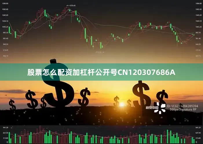 股票怎么配资加杠杆公开号CN120307686A