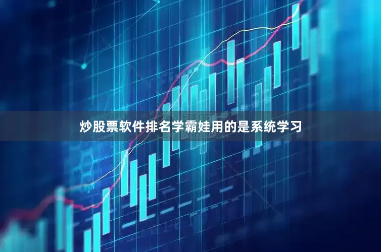 炒股票软件排名学霸娃用的是系统学习